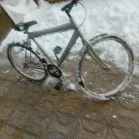 دوچرخه|دوچرخه، اسکیت، اسکوتر|تربت‌حیدریه, بالا ولایت|دیوار