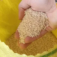 برنج عنبربو عنبر بو