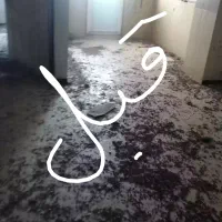 خدمات نظافتی تاجیک نظافت و سم پاشی و نقاشی|خدمات نظافت|قرچک, مجتمع مسکونی طبیعت|دیوار