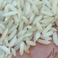 برنج. چغلوندی نیم دانه۱۶۰هزا درود۲۴۰هزار.محلی درود