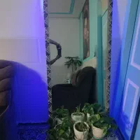 اینه ی قدی زیبا|آینه|کرمان, |دیوار