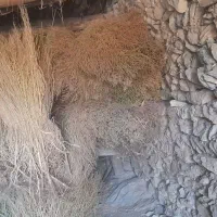 فروش جارو دستی  محلی