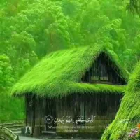 زمین-باغ-ویلا