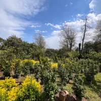 فروش زمین کاربردی دار