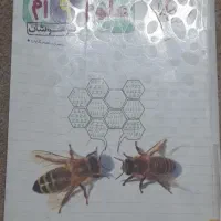 کتابکار علوم نهم