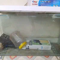 اکواریوم