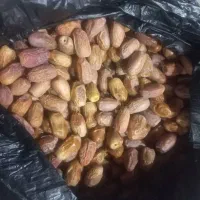 قصب|خوردنی و آشامیدنی|شیراز, شهرک فرهنگیان|دیوار