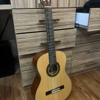 گیتار اریا AK30N