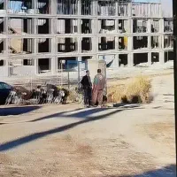 فروش مسکن ملی هواشناسی