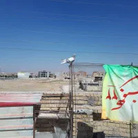 کبوترسوسنیدمسفیدجفت|پرنده|مرودشت, ولایت|دیوار