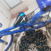 چرخ|دوچرخه، اسکیت، اسکوتر|ملایر, |دیوار