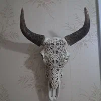 سردیس بوفالو نو نو