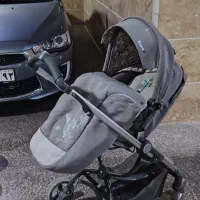 کالسکه  دو طرفه آلمانی و کریر|کالسکه و لوازم جانبی|شیراز, فرهنگ شهر|دیوار