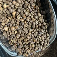 پخش عمده دان قهوه|عمده‌فروشی|سبزوار, طبرسی (جعفرآباد)|دیوار