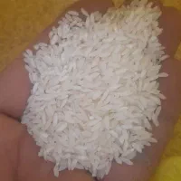 برنج عمبربو