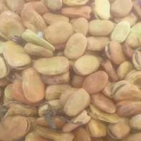 باقله خشک و روغن محلی دارم برا فروش
