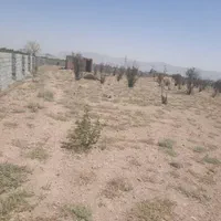 زمین  چهار دیواری باغ گلخانه|فروش دفتر صنعتی، کشاورزی، تجاری|اصفهان, هوانیروز|دیوار