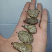 انواع مهره|زیورآلات و اکسسوری|شیراز, ابیوردی|دیوار