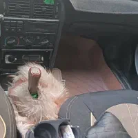 ماشین سواری|خودرو سواری و وانت|قشم, |دیوار