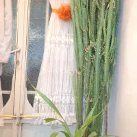 گل کاکتوس با گلدان سرامیکی