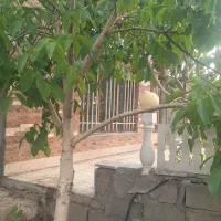 فروش باغ ویلا