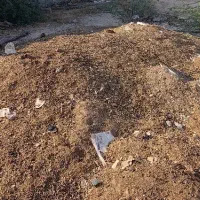 فروش کود بندر دیر