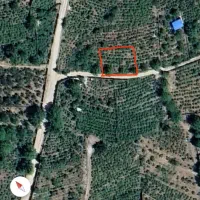 فروش باغچه تفریحی لوکیشن استثنایی|فروش زمین و ملک کلنگی|سیسخت, |دیوار