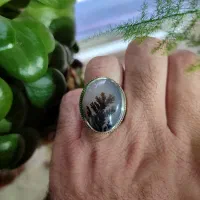 تعدادی انگشترشجر کلکسیونی|جواهرات|کرمانشاه, |دیوار