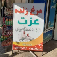 کارگر مغازه مرغ زنده فروشی