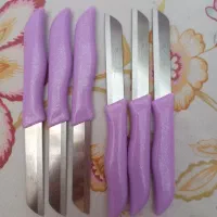 چاقو ارهایی میوه خوری المان زولینگن اصل