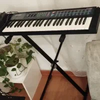 ارگ کاسیو ۱۱۰