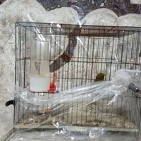 قفس پرنده بزرگ و کوچک مخصوص قناری و فنچ