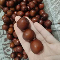 عناب تازه و درشت