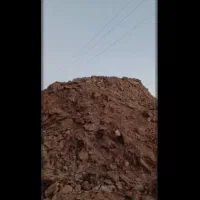 کود گوسفندی