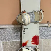 برد اسکی (اسنوبرد)، بوت و فیکس ، سالامون