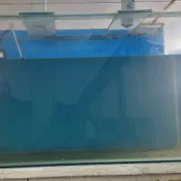 فروش آکواریوم شیشه خم