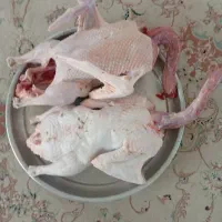 اردک بالغ سنگین مناسب کشتار و تخم نطفه دار اردک|حیوانات مزرعه|لاهیجان, لفمجان|دیوار