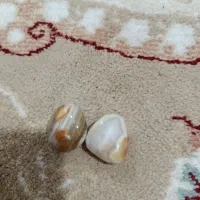 جفت مهره تضمینی|جواهرات|اهواز, کوی علوی|دیوار