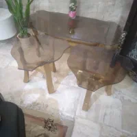 میز بزرگ ودو عدد گل میز