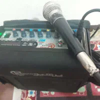 اکو آمپلی فایر فلش خور با میکروفن