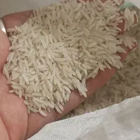 برنج ایرانی طارم هاشمی،فجر،آستانه،صدری.عنبربو|خوردنی و آشامیدنی|تهران, جوادیه تهرانپارس|دیوار