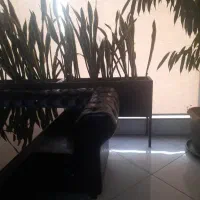 صندوقدار خانم  جهت کار در کافه رستوران