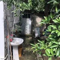 فروش باغ و خانه باسند تک برگ **تخفیف ویژه**|فروش خانه و ویلا|قائمشهر, |دیوار