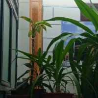 منزل مسکونی طرح بهزیستی طبقه 3