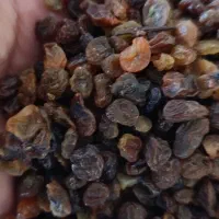 کشمش ابگیری|خوردنی و آشامیدنی|ملایر, |دیوار