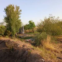 فروش باغ ۱۵۰۰ متری و ۱۰۰۰۰متری|فروش دفتر صنعتی، کشاورزی، تجاری|زنجان, |دیوار