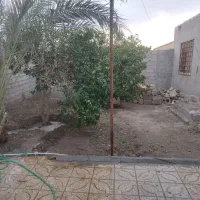 خونه اجارهای شهرستان ریگان|اجارهٔ خانه و ویلا|ریگان, |دیوار