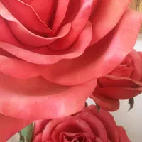 گل مصنوعی|گل مصنوعی|بجنورد, |دیوار