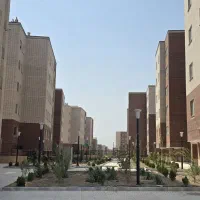 زیتون ابوطالب ۲۲ هکتاری