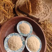 برنج درشت،سرلاشه و نیم دانه هاشمی مستقیم از کشاورز|خوردنی و آشامیدنی|رشت, آزادگان|دیوار